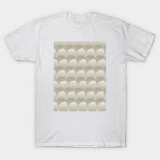 Scales 2 T-Shirt